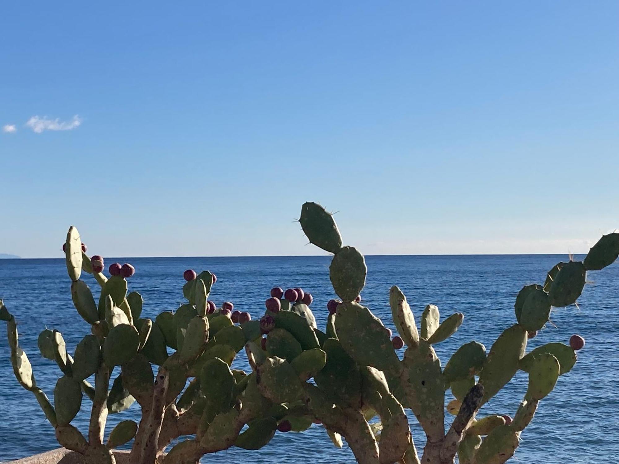 Taliari Taormina Apartment Eksteriør billede